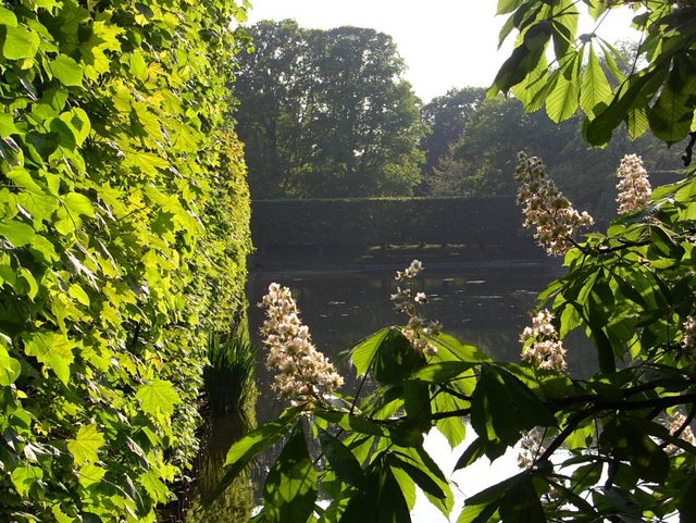 Wiosenne popołudnie w  Oliwskim  Parku 2011