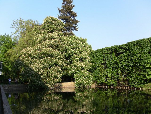 Wiosenne popołudnie w  Oliwskim  Parku 2011