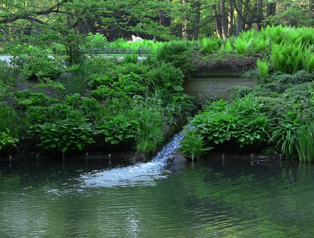 Wiosenne popołudnie w  Oliwskim  Parku 2011