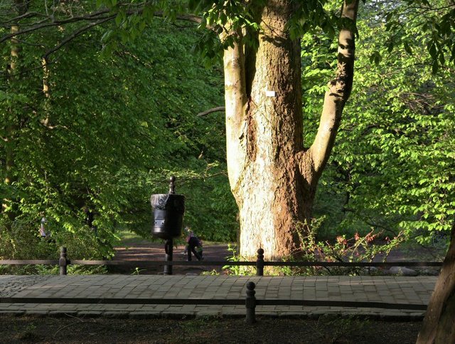 Wiosenne popołudnie w  Oliwskim  Parku 2011