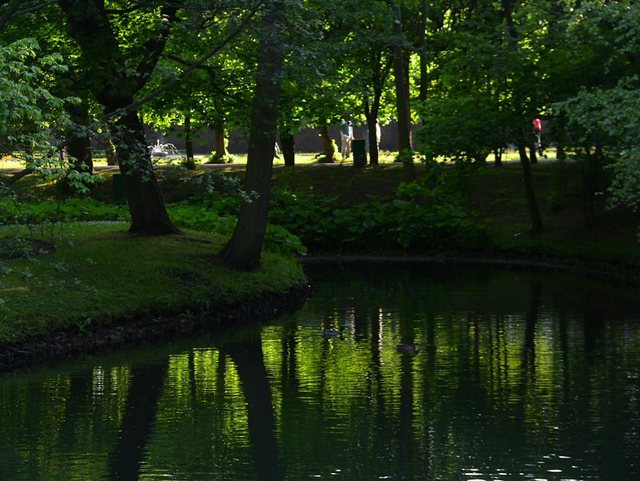 Wiosenne popołudnie w  Oliwskim  Parku 2011