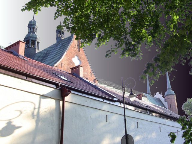 Wiosenne popołudnie w  Oliwskim  Parku 2011