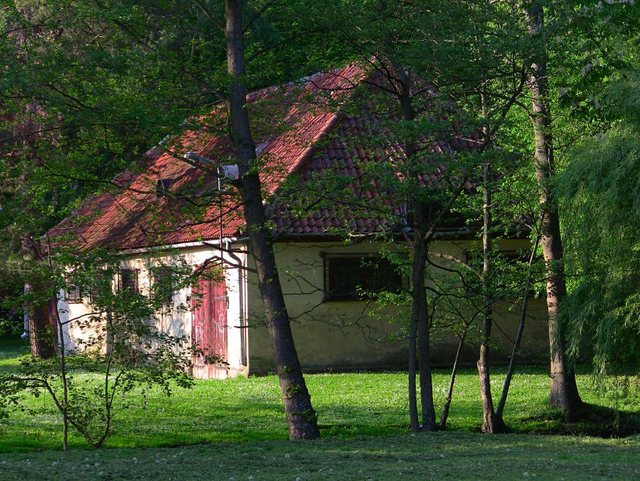 Wiosenne popołudnie w  Oliwskim  Parku 2011