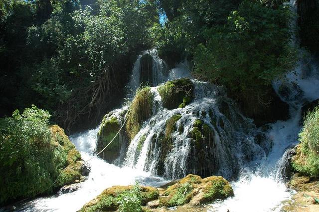 Kravica