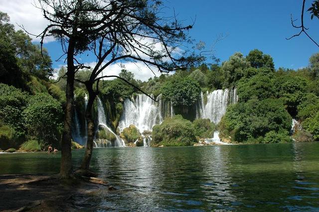 Kravica