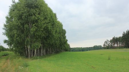 Img 7187 – Suliszów, Polska