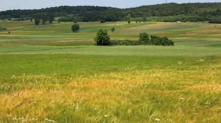 Img 7336 – Suliszów, Polska