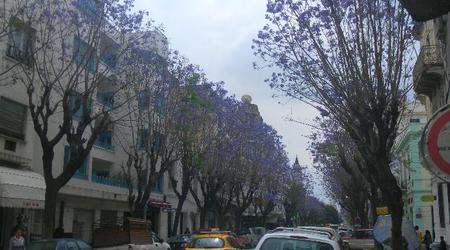 Tunis - Avenue De Paris – Gouvermorat de tunis, Tunezja
