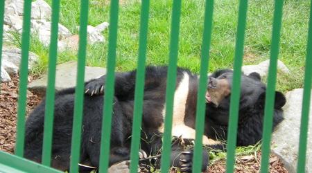 Chorzów, Śląski Ogród Zoologiczny – Polska
