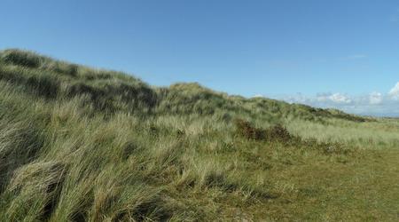 Wydmy i trawa morska – Southport, Wielka Brytania