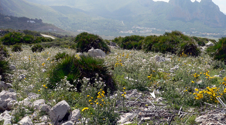 P1380537 – San Vito lo Capo, Włochy