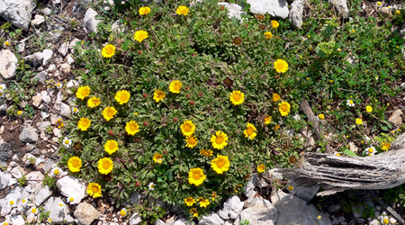 P1380542 – San Vito lo Capo, Włochy