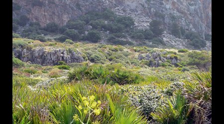 P1380544 – San Vito lo Capo, Włochy