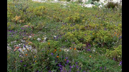 P1380557 – San Vito lo Capo, Włochy