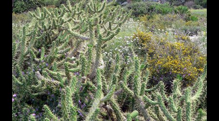 P1380563 – San Vito lo Capo, Włochy