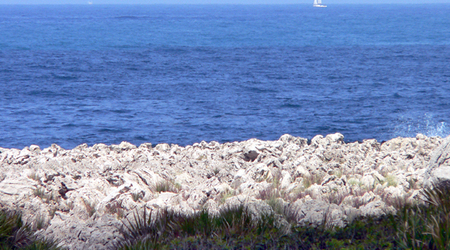P1380565 – San Vito lo Capo, Włochy