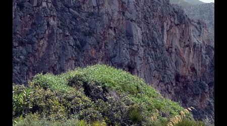 P1380587 – San Vito lo Capo, Włochy