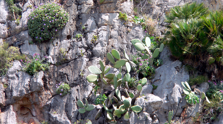 P1380666 – San Vito lo Capo, Włochy