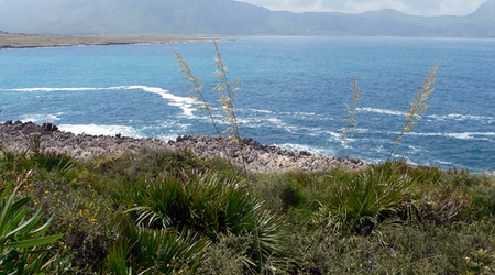 P1380677 – San Vito lo Capo, Włochy
