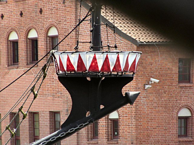 Baltic Sail 2011