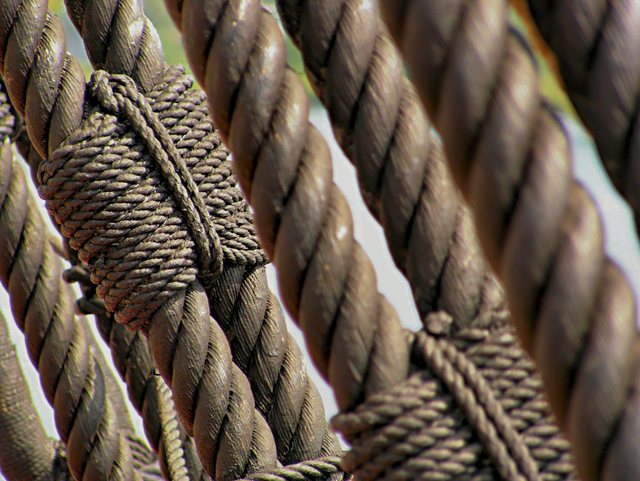 Baltic Sail 2011