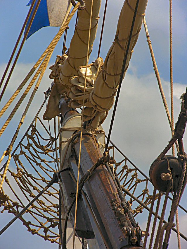 Baltic Sail 2011