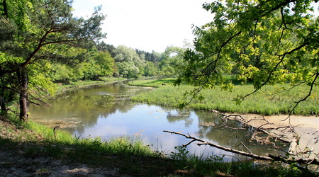 Słoneczna kąpiel – Luboń, Polska
