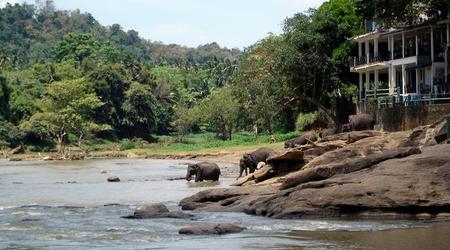 kąpiel – Pinnawala, Sri Lanka