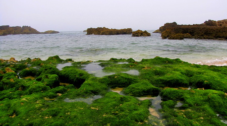 oualidia – Maroko
