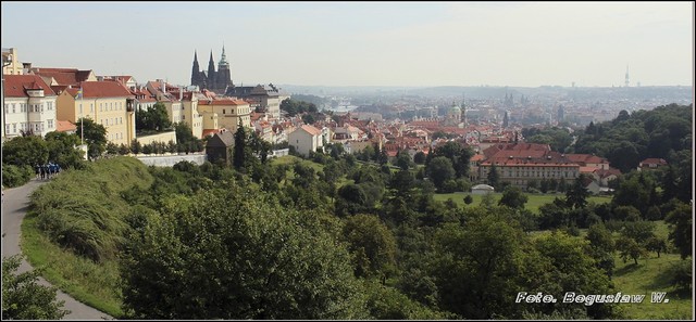 Praga ze wzgórza