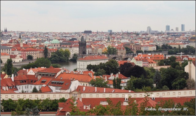 Praga czerwonych dachów.