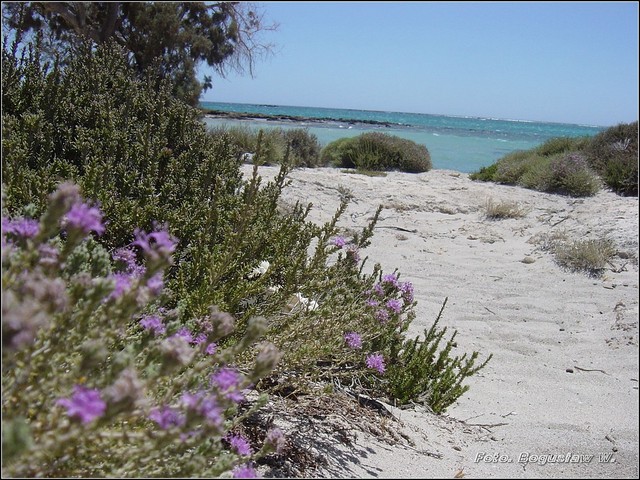 Elafonisi  08
