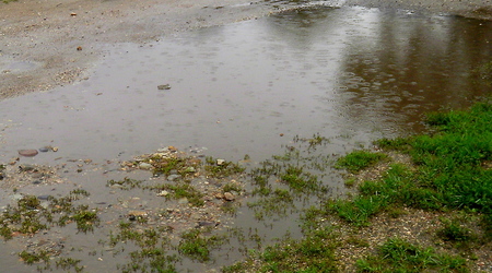 Lato - okolice Lubawy – Lubawa, Polska