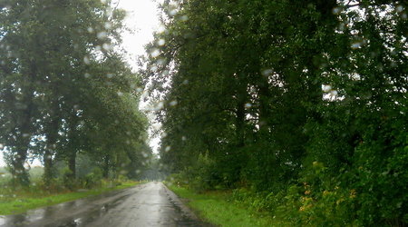 Lato - okolice Lubawy – Lubawa, Polska