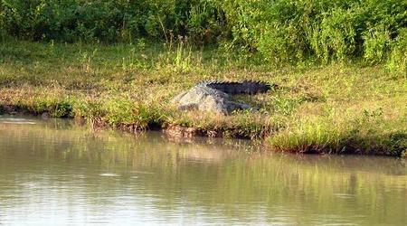 crac... – Yala, Sri Lanka