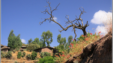 Ethiopia 2332 – Lalībela, Etiopia