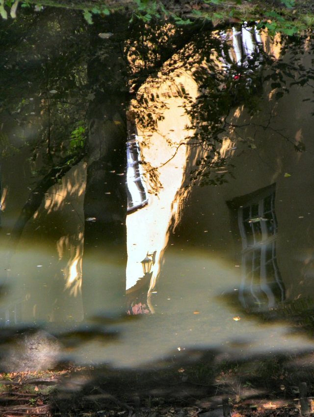 Oliwa -w parku -sierpień 2011