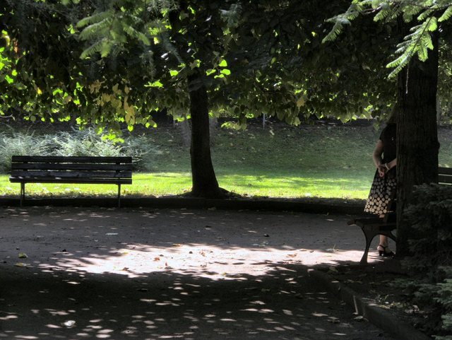 Oliwa -w parku -sierpień 2011