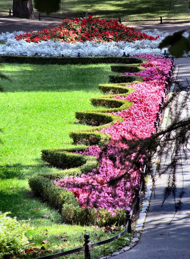 Oliwa -w parku -sierpień 2011