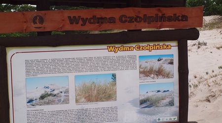 Wydma Czołpińska - informacje – Czołpino, Polska