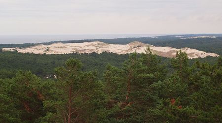 Widok wydm z latarni – Czołpino, Polska