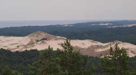 Widok wydm z latarni – Czołpino, Polska