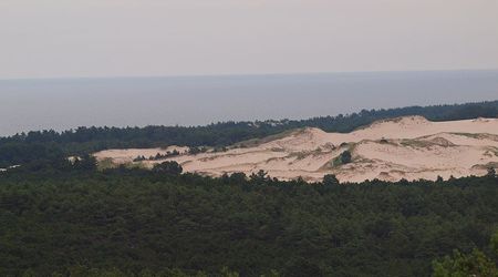 Widok wydm z latarni – Czołpino, Polska