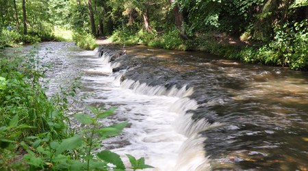 Rezerwat nad Tanwią 3 – Susiec, Polska