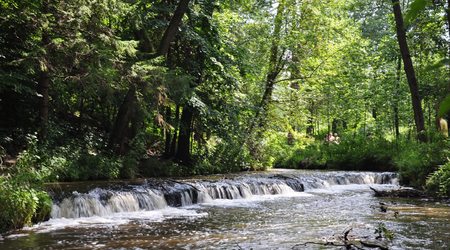 Rezerwat nad Tanwią 5 – Susiec, Polska