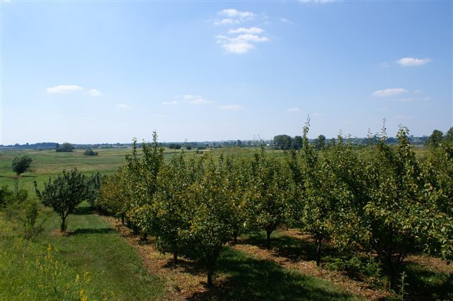 Pict0064