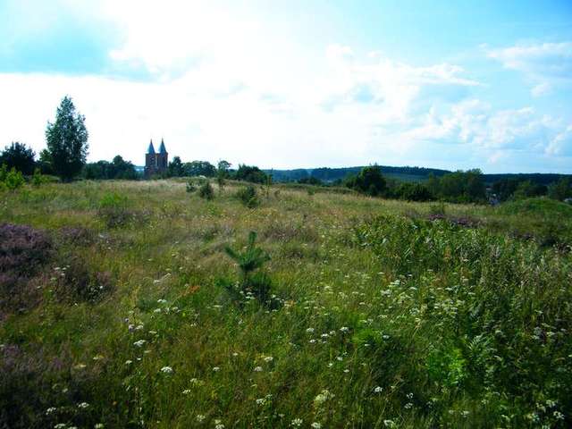 Traby Трабы