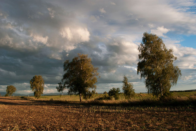 Pejzaż - okolice Zawidowa