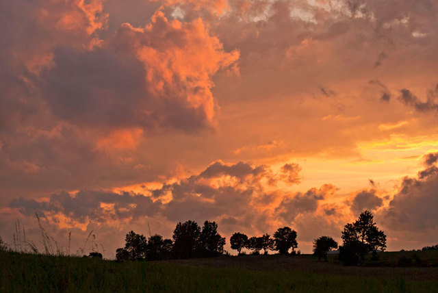 Pejzaż - okolice Zawidowa