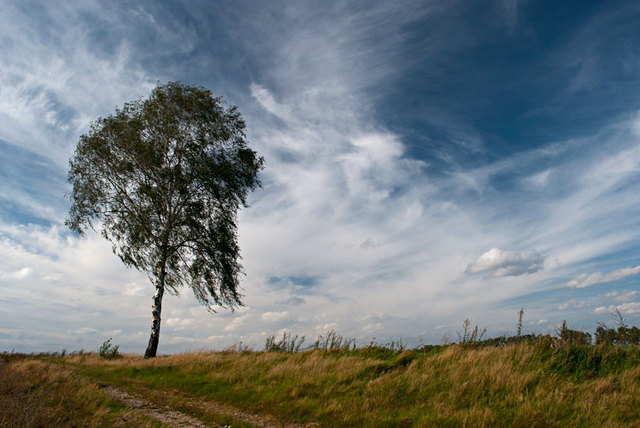 Pejzaż - okolice Zawidowa
